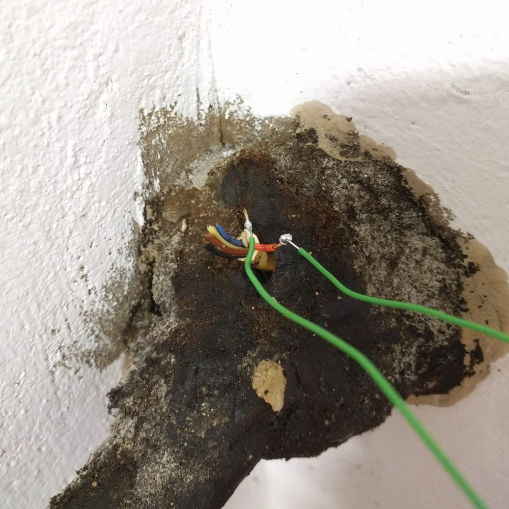 A mysterious cut cable in the basement. Don't ask me what that black goey mass is, I have no idea.