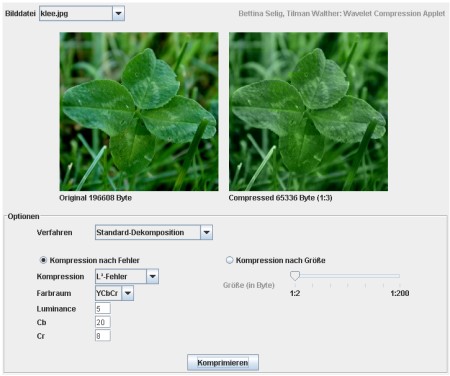 Das Wavelet Compression Applet (Screenshot)